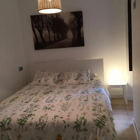 Vicaria Appartement Gijón